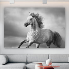 Lade das Bild in den Galerie-Viewer, Poster Majestätisches Pferdeportrait in Bewegung Querformat
