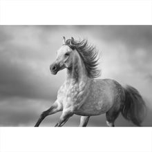 Lade das Bild in den Galerie-Viewer, Poster Majestätisches Pferdeportrait in Bewegung Querformat
