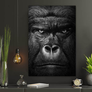 Aluminiumbild gebürstet Nahaufnahme Gorilla auf schwarzem Hintergrund Hochformat