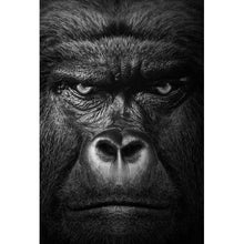 Lade das Bild in den Galerie-Viewer, Aluminiumbild gebürstet Nahaufnahme Gorilla auf schwarzem Hintergrund Hochformat
