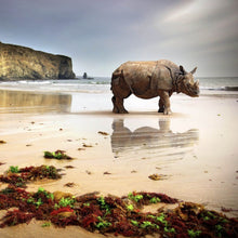 Lade das Bild in den Galerie-Viewer, Aluminiumbild gebürstet Nashorn an der Küste Quadrat
