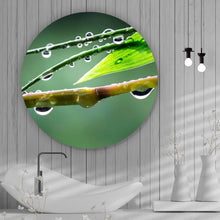 Lade das Bild in den Galerie-Viewer, Aluminiumbild gebürstet Natur Bambus mit Wasser Tropfen Kreis
