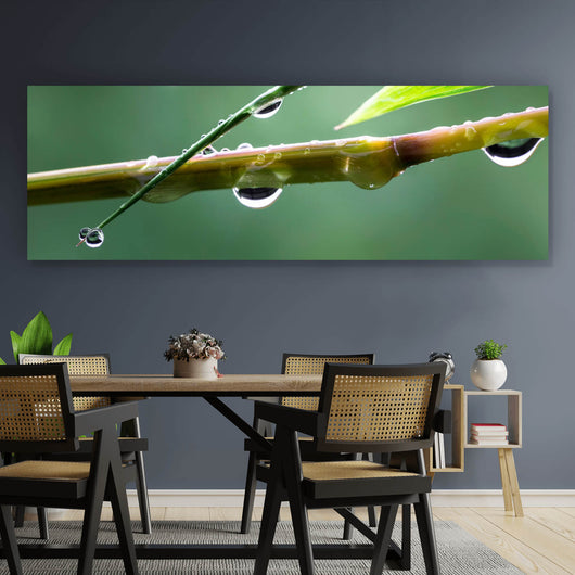 Poster Natur Bambus mit Wasser Tropfen im Panorama, Aufhängefertig &  Versandkostenfrei – Wandguru