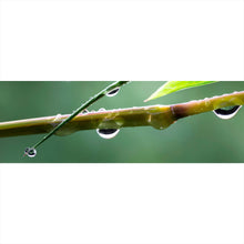 Lade das Bild in den Galerie-Viewer, Leinwandbild Natur Bambus mit Wasser Tropfen Panorama
