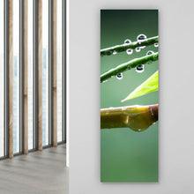 Lade das Bild in den Galerie-Viewer, Leinwandbild Natur Bambus mit Wasser Tropfen Panorama Hoch
