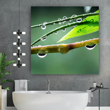 Lade das Bild in den Galerie-Viewer, Spannrahmenbild Natur Bambus mit Wasser Tropfen Quadrat

