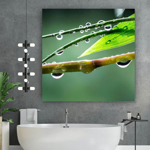 Spannrahmenbild Natur Bambus mit Wasser Tropfen Quadrat