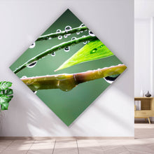Lade das Bild in den Galerie-Viewer, Acrylglasbild Natur Bambus mit Wasser Tropfen Raute
