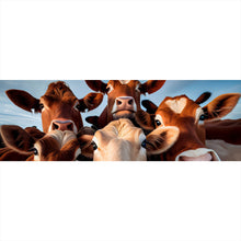 Lade das Bild in den Galerie-Viewer, Aluminiumbild Neugierige Kühe Nahaufnahme Panorama
