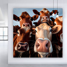 Lade das Bild in den Galerie-Viewer, Acrylglasbild Neugierige Kühe Nahaufnahme Quadrat
