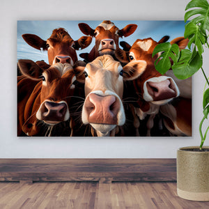 Acrylglasbild Neugierige Kühe Nahaufnahme Querformat