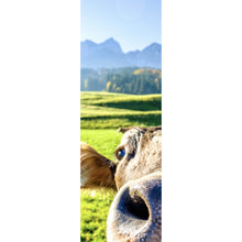 Lade das Bild in den Galerie-Viewer, Poster Neugierige Kuh auf grüner Wiese vor Berglandschaft Panorama Hoch
