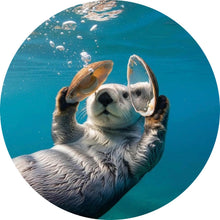 Lade das Bild in den Galerie-Viewer, Aluminiumbild gebürstet Niedlicher Otter mit Muscheln im Wasser Kreis
