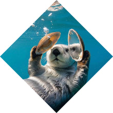 Lade das Bild in den Galerie-Viewer, Aluminiumbild gebürstet Niedlicher Otter mit Muscheln im Wasser Raute
