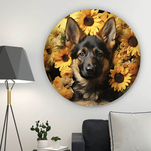 Aluminiumbild Niedlicher Schäferhund umgeben von gelben Blumen Kreis