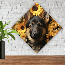 Lade das Bild in den Galerie-Viewer, Acrylglasbild Niedlicher Schäferhund umgeben von gelben Blumen Raute
