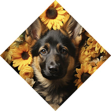 Lade das Bild in den Galerie-Viewer, Spannrahmenbild Niedlicher Schäferhund umgeben von gelben Blumen Raute
