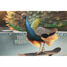 Lade das Bild in den Galerie-Viewer, Poster Pfau auf Skateboard mit prächtigen Federn Querformat
