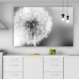 Acrylglasbild Pusteblume bei Dämmerung Querformat