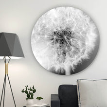 Lade das Bild in den Galerie-Viewer, Aluminiumbild gebürstet Pusteblume bei Dämmerung Kreis
