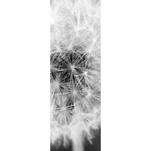 Lade das Bild in den Galerie-Viewer, Spannrahmenbild Pusteblume bei Dämmerung Panorama Hoch
