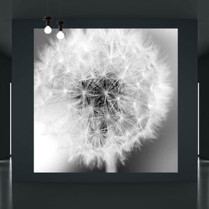 Acrylglasbild Pusteblume bei Dämmerung Quadrat