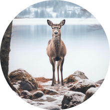 Lade das Bild in den Galerie-Viewer, Aluminiumbild gebürstet Rehe am ruhigen Seeufer betrachten Kreis
