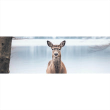 Lade das Bild in den Galerie-Viewer, Spannrahmenbild Rehe am ruhigen Seeufer betrachten Panorama
