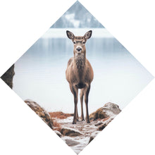 Lade das Bild in den Galerie-Viewer, Aluminiumbild Rehe am ruhigen Seeufer betrachten Raute
