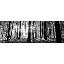 Lade das Bild in den Galerie-Viewer, Acrylglasbild Schimmernder Wald Panorama
