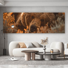 Lade das Bild in den Galerie-Viewer, Acrylglasbild Schlafender Bär im Sonnenlicht Panorama
