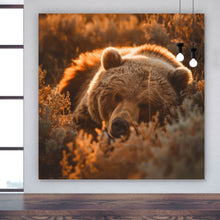 Lade das Bild in den Galerie-Viewer, Aluminiumbild gebürstet Schlafender Bär im Sonnenlicht Quadrat
