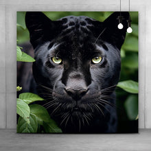 Lade das Bild in den Galerie-Viewer, Acrylglasbild Schwarzer Panther im Dickicht Quadrat
