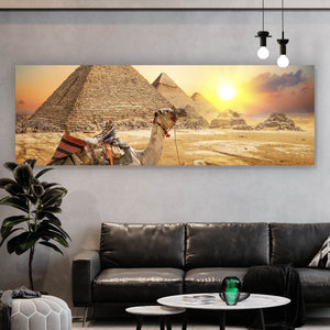 Poster Sonnenuntergang über Pyramiden mit ruhendem Kamel Panorama