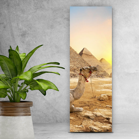 Poster Sonnenuntergang über Pyramiden mit ruhendem Kamel Panorama Hoch