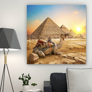 Acrylglasbild Sonnenuntergang über Pyramiden mit ruhendem Kamel Quadrat