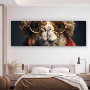 Poster Stylisches Kamel mit Brille und rotem Mantel Panorama