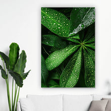 Lade das Bild in den Galerie-Viewer, Acrylglasbild Tropische Blätter mit Wassertropfen Hochformat
