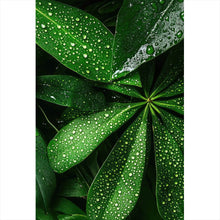 Lade das Bild in den Galerie-Viewer, Poster Tropische Blätter mit Wassertropfen Hochformat
