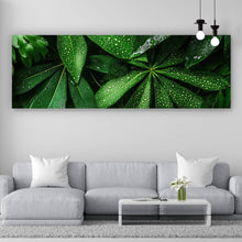 Lade das Bild in den Galerie-Viewer, Acrylglasbild Tropische Blätter mit Wassertropfen Panorama
