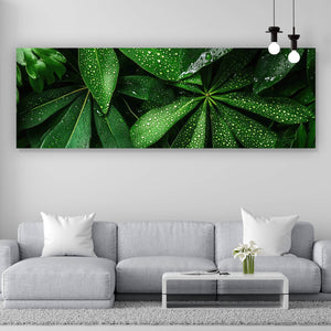 Leinwandbild Tropische Blätter mit Wassertropfen Panorama