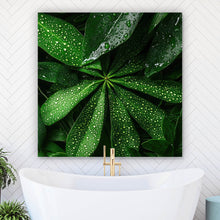 Lade das Bild in den Galerie-Viewer, Acrylglasbild Tropische Blätter mit Wassertropfen Quadrat
