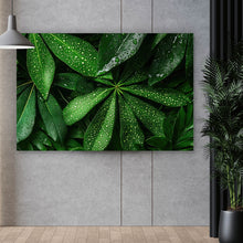 Lade das Bild in den Galerie-Viewer, Aluminiumbild gebürstet Tropische Blätter mit Wassertropfen Querformat
