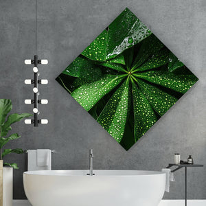 Leinwandbild Tropische Blätter mit Wassertropfen Raute