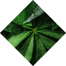 Lade das Bild in den Galerie-Viewer, Spannrahmenbild Tropische Blätter mit Wassertropfen Raute
