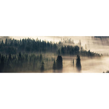 Lade das Bild in den Galerie-Viewer, Aluminiumbild gebürstet Wald im Nebel Panorama
