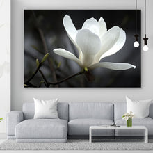 Lade das Bild in den Galerie-Viewer, Aluminiumbild Weiße Magnolie Querformat
