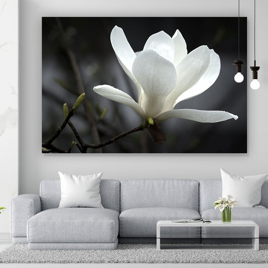 Spannrahmenbild Weiße Magnolie Querformat
