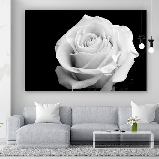 Acrylglasbild Weiße Rose auf schwarzem Hintergrund Querformat