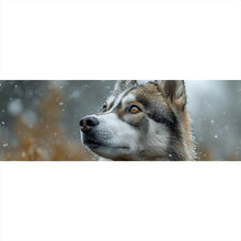 Lade das Bild in den Galerie-Viewer, Poster Wolf schaut aufmerksam im winterlichen Schneefall Panorama
